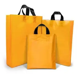 Retail Paper Carry Bag